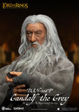 Beast Kingdom DAH-106P The Lord of The Rings Gandalf the Grey